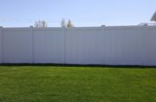 tall pvc vinyl privacy fence in backyard