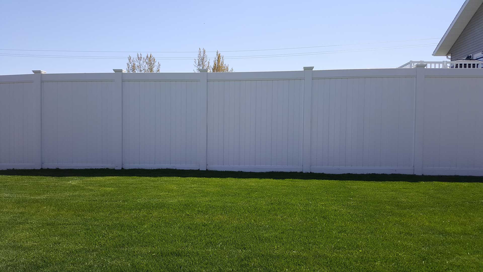 tall pvc vinyl privacy fence in backyard