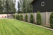 pvc vinyl privacy fence lined with small trees on the inside of backyard
