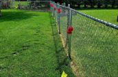 A chain link fence being replaced by a white vinyl fence in a lush green backyard